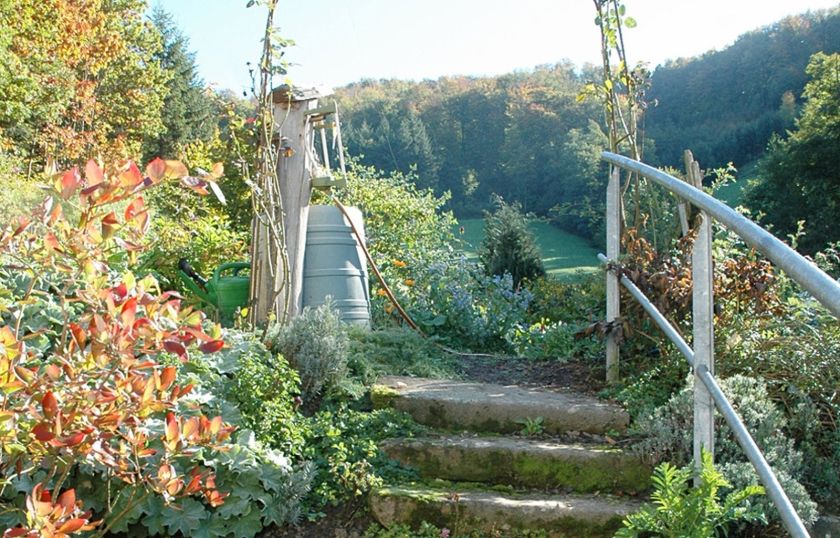 Vogtbenedikthof im Schwarzwald