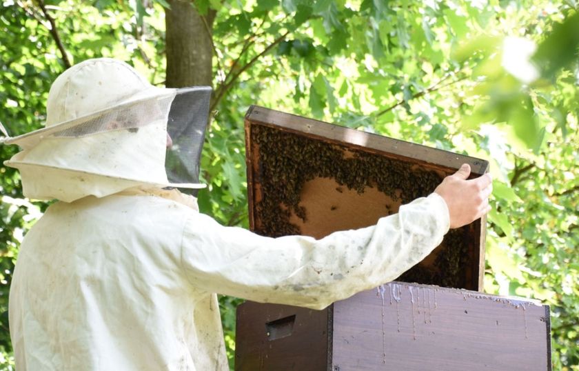 Vogtbenedikthof im Schwarzwald