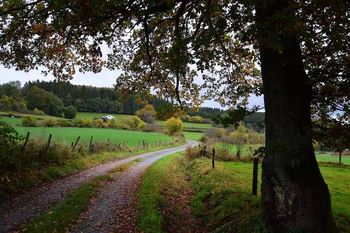 Ferienwohnung Mitten in der Natur