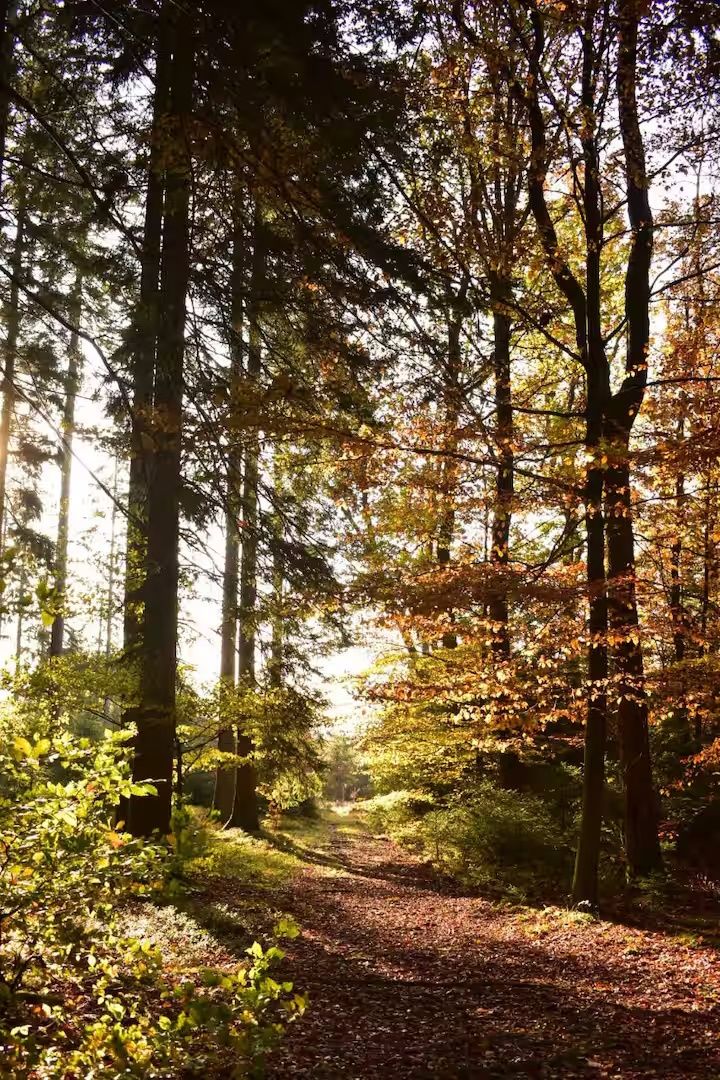 Ferienwohnung Mitten in der Natur