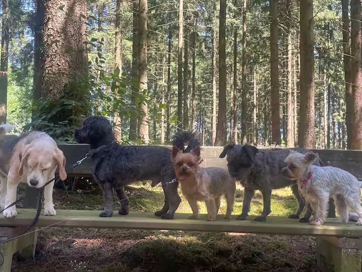 Ferienwohnung Mitten in der Natur