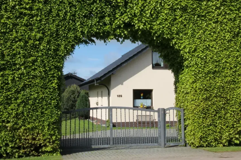Ferienwohnung Buchfink am Nationalpark Eifel
