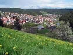 Gasthof Adler Tennenbronn
