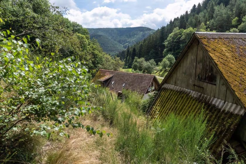 Ferienhaus Speicherhäusle - Hasenhof Hornberg