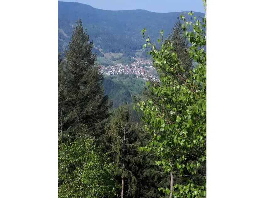 Ferienwohnung Bäuerle
