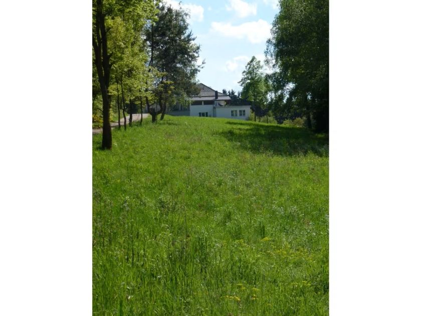 Ferienhaus Zum alten Forsthaus