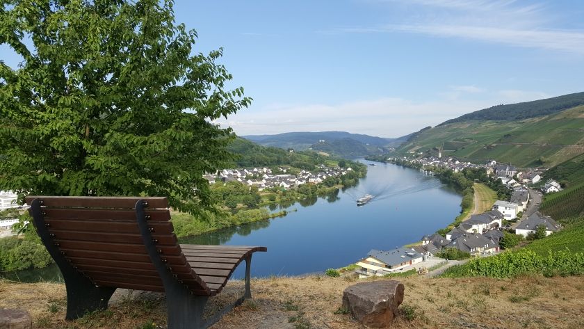 Fewo Hallenbach mit herrlichem Moselblick