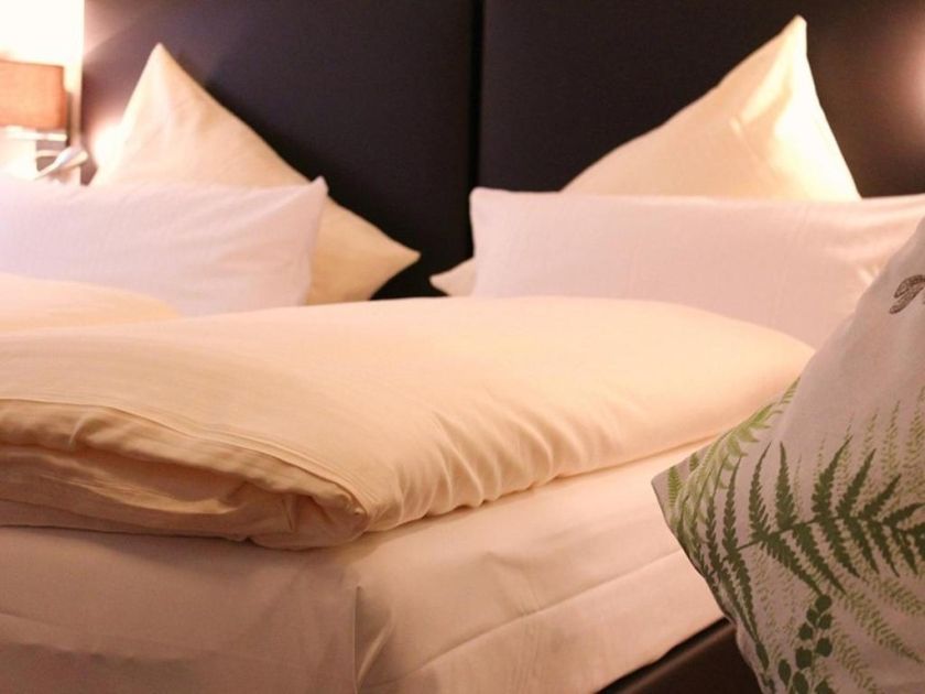 Baum's Rheinhotel
