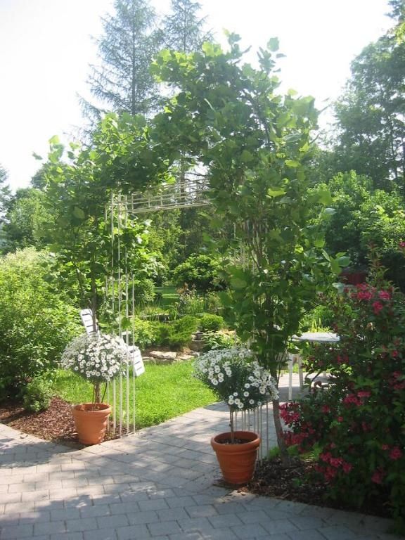 Hotel Schloss Sennfeld
