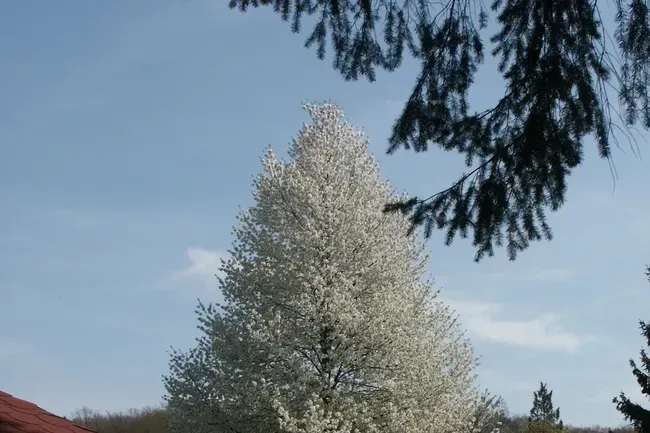 Campingpark Stromberg