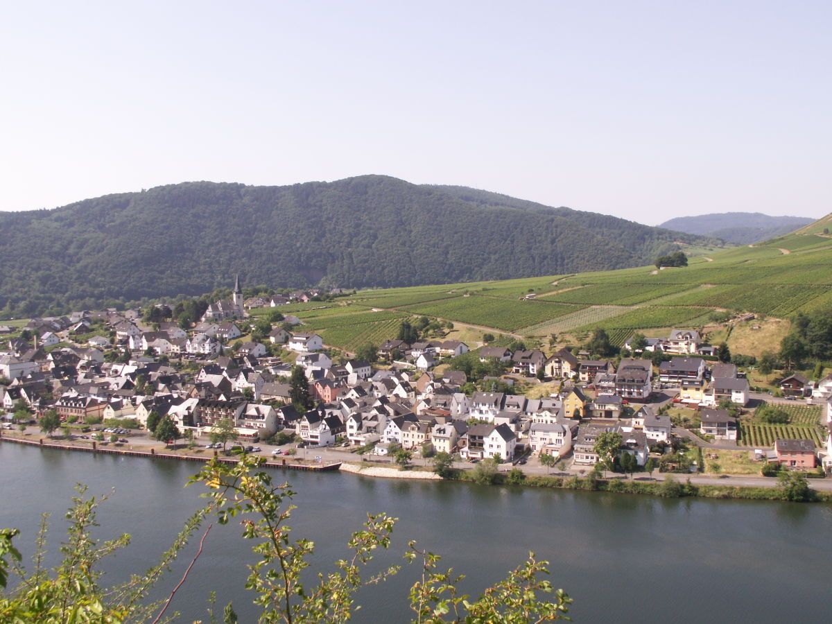 Sicht aus Beilstein