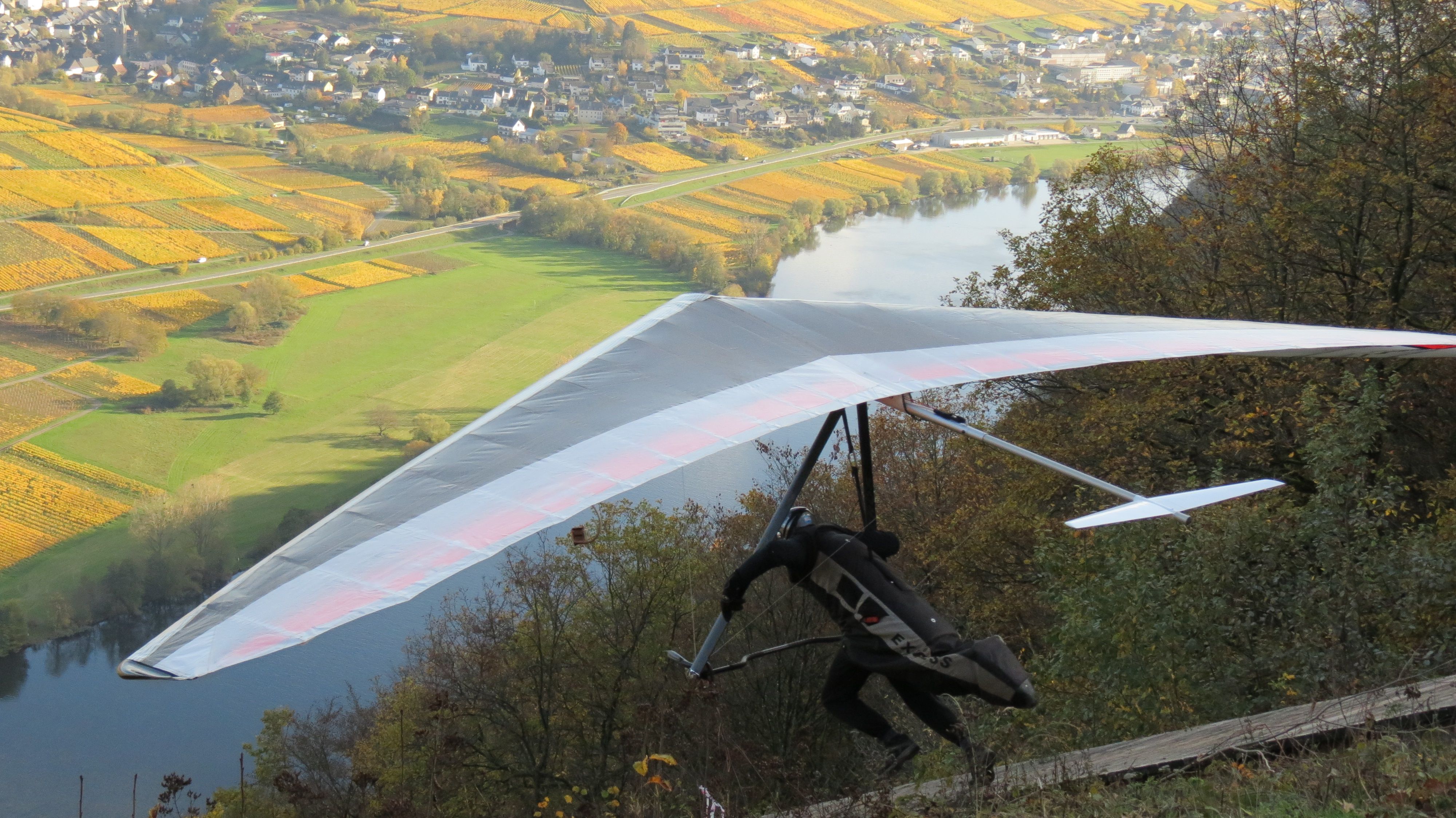 BARRIEREFREIE FERIENWOHNUNG LAVENDEL MIT PFLEGEBETT, MOSELBLICK, für Gäste mit eingeschränkter Beweglichkeit -  Rollstuhlfahrer -   kostenloses WLAN - Ferienweingut
