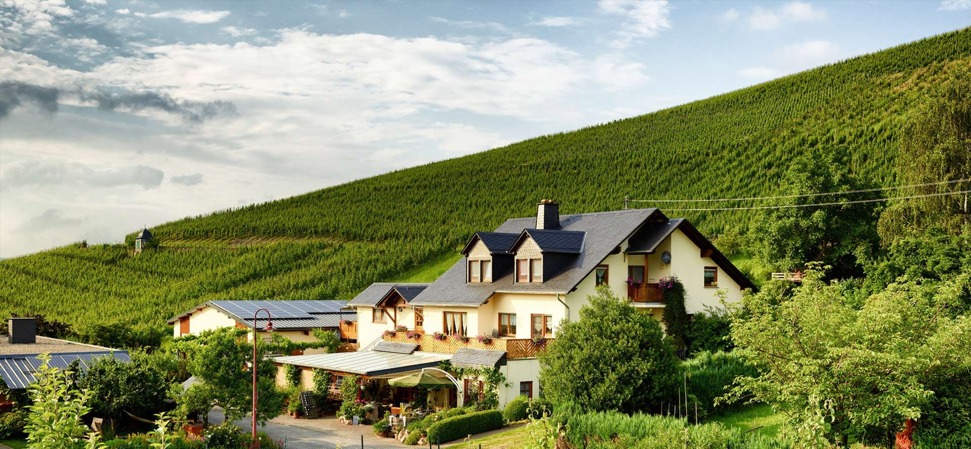 Idyllisch mitten in den Weinbergen