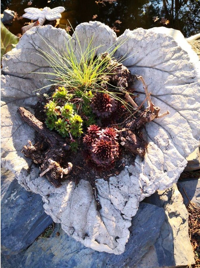 Evas Moselblick - Ferienwohnung 1