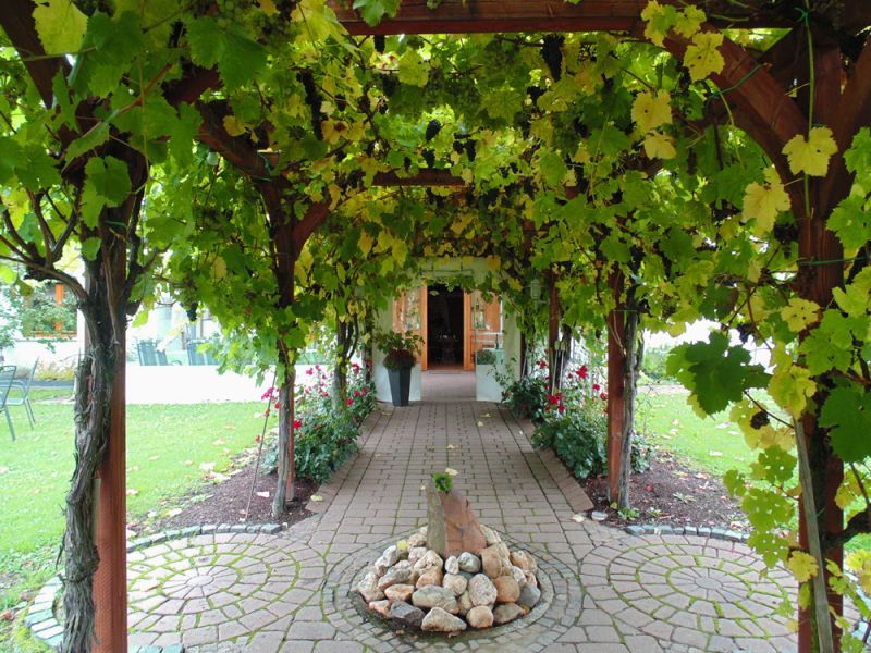 Weingut & Gästehaus Lehnert-Später