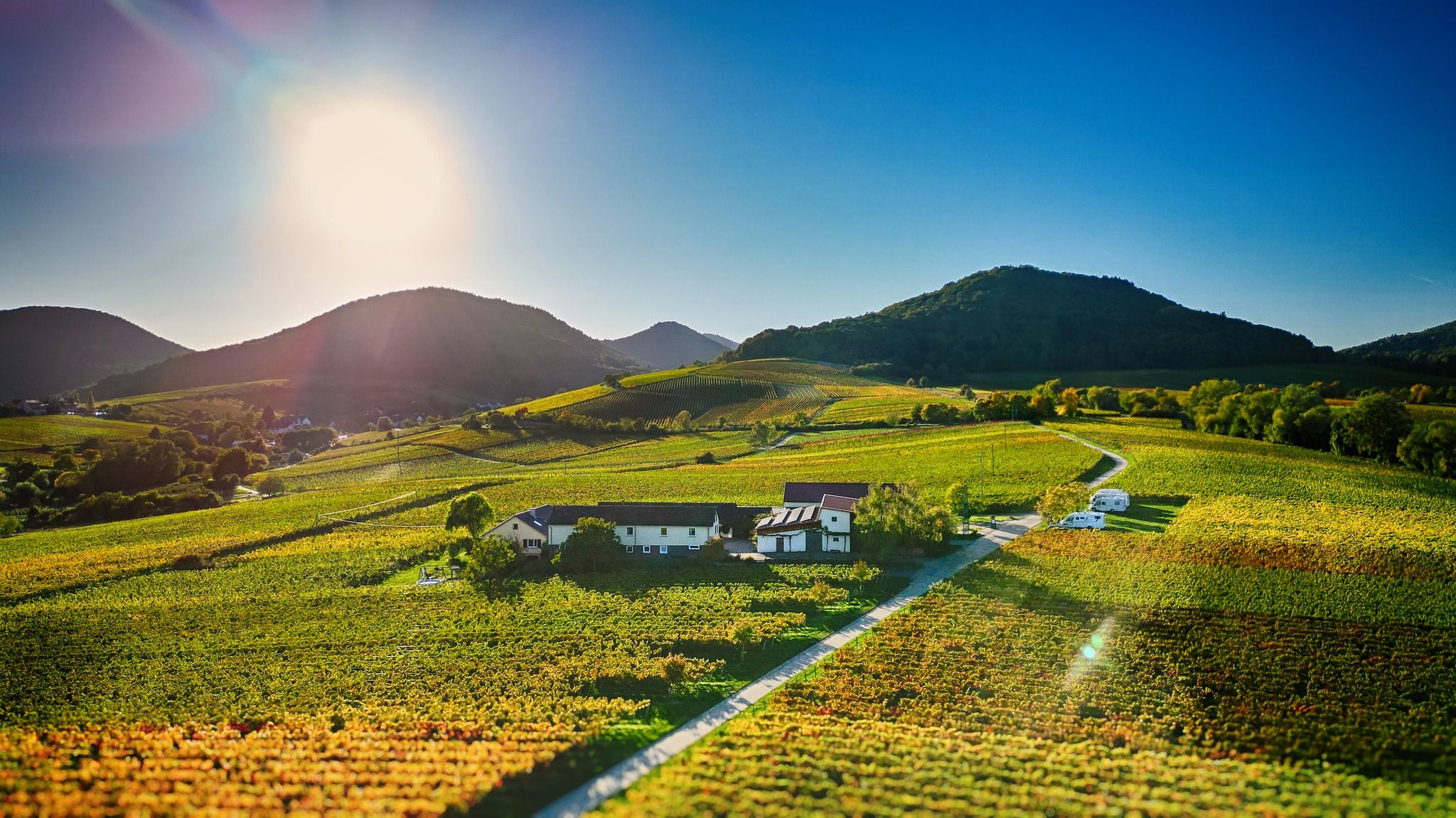 Weingut und Ferienwohnungen Erlenwein