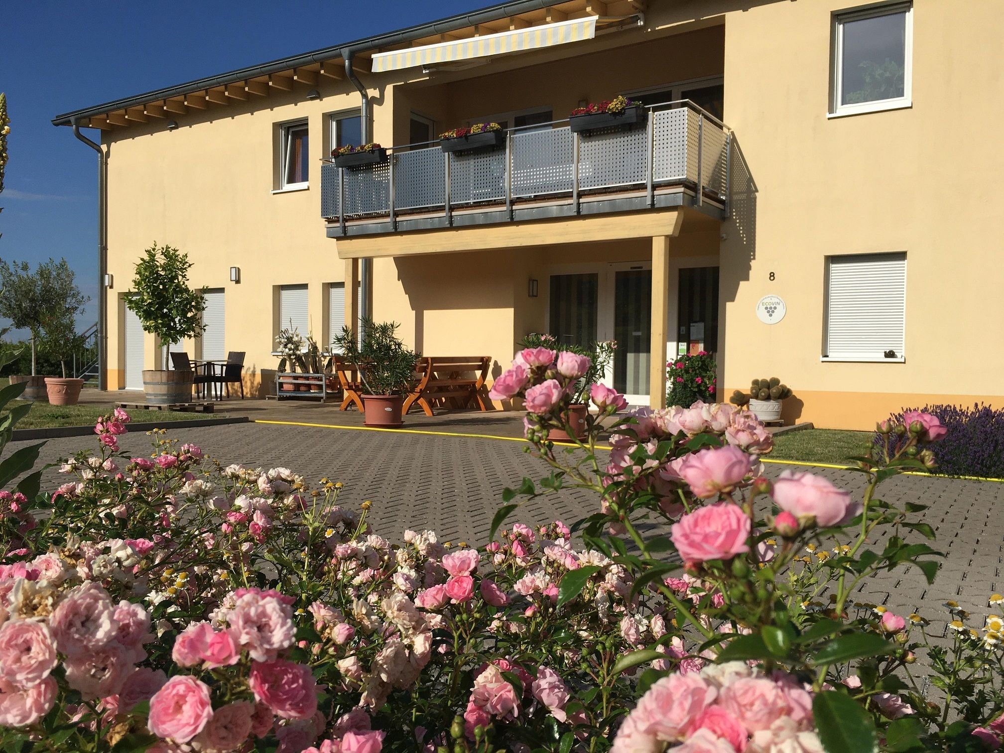 Weingut und Gästehaus Platz