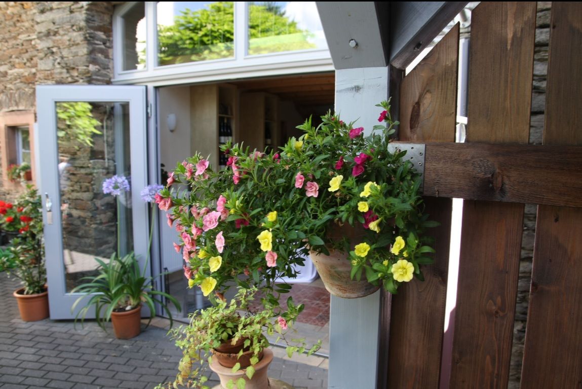 Wein und Ferienhaus Koch