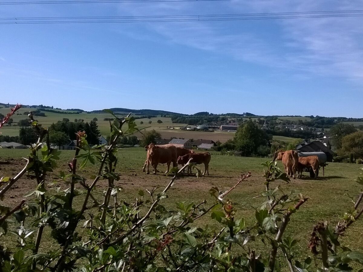Ferienwohnung Oase Feinen
