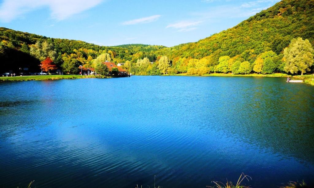 Ferienhaus Chalet am Waldsee