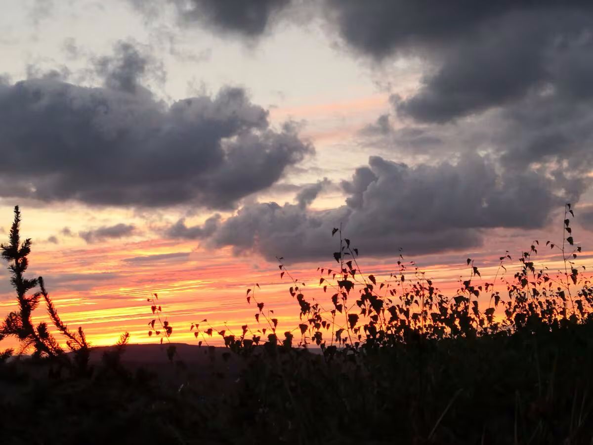 Evas Moselblick - Ferienwohnung 2