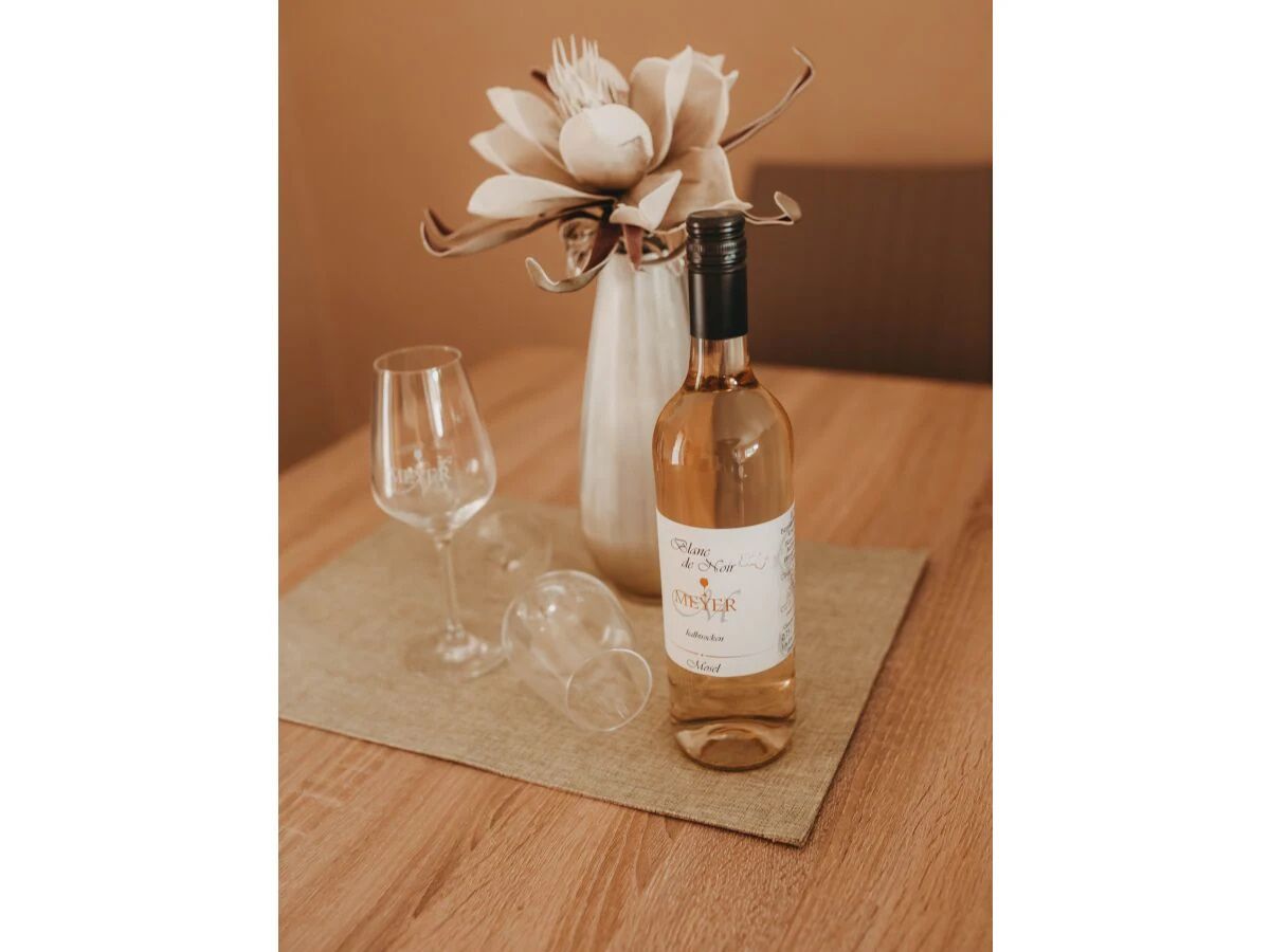 Evas Moselblick - Ferienwohnung 2