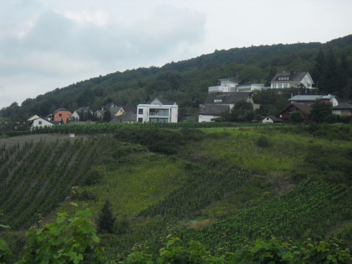 Evas Moselblick - Ferienwohnung 2