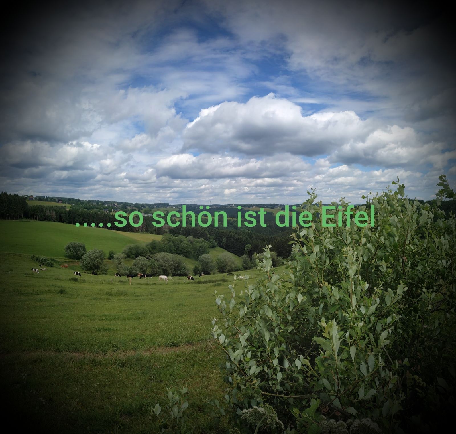 Ferienwohnung Klein im Nationalpark Eifel