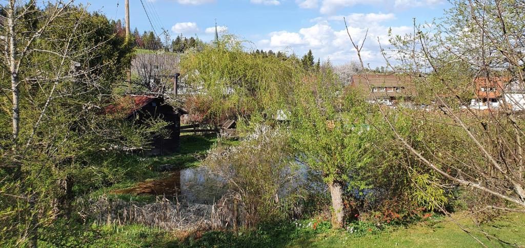 Gästehaus Wilder Mann