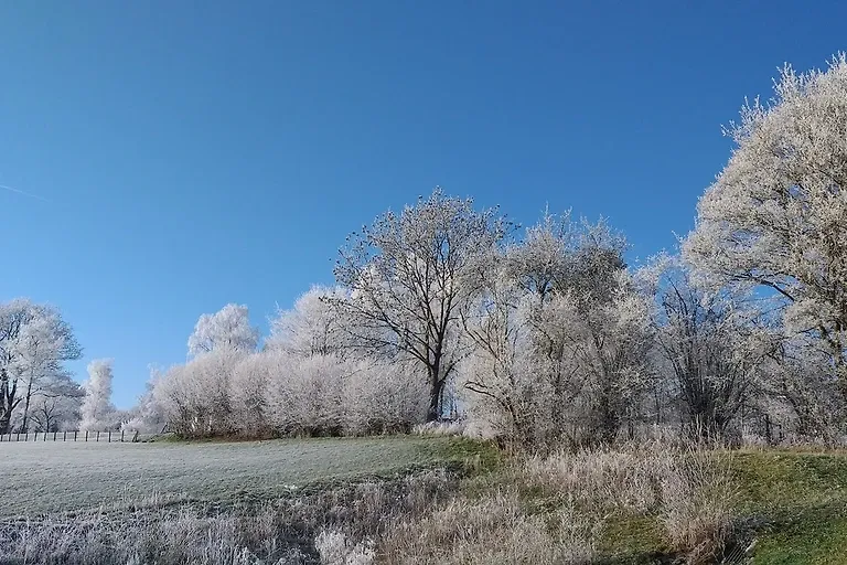 Appartement Eichhörnchen im Haus Eifelstein