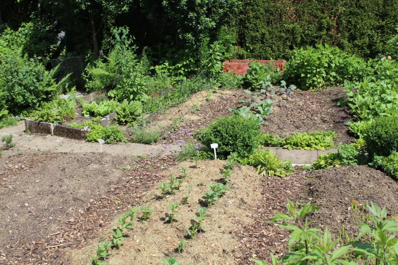 Ferienhaus Landhaus Almyssen