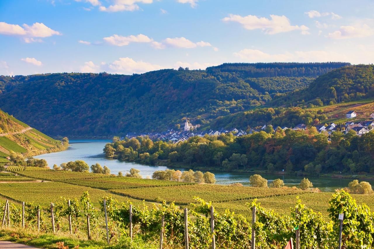 Hotel-Weinhaus Mayer