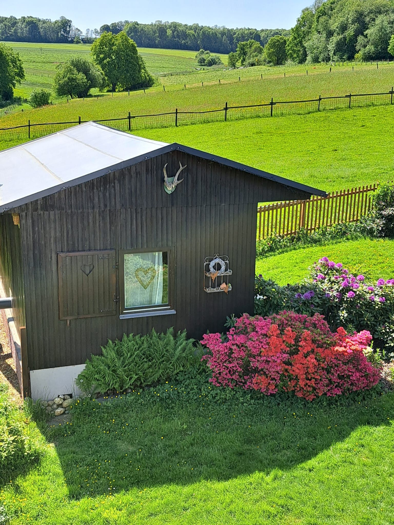  Ferienhaus Wibbecke Westerwald