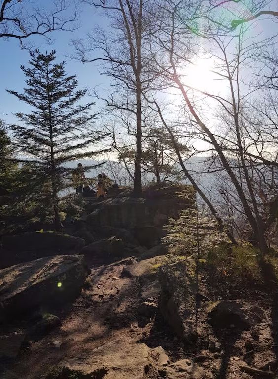 Ferienwohnung Sommerbergparadies