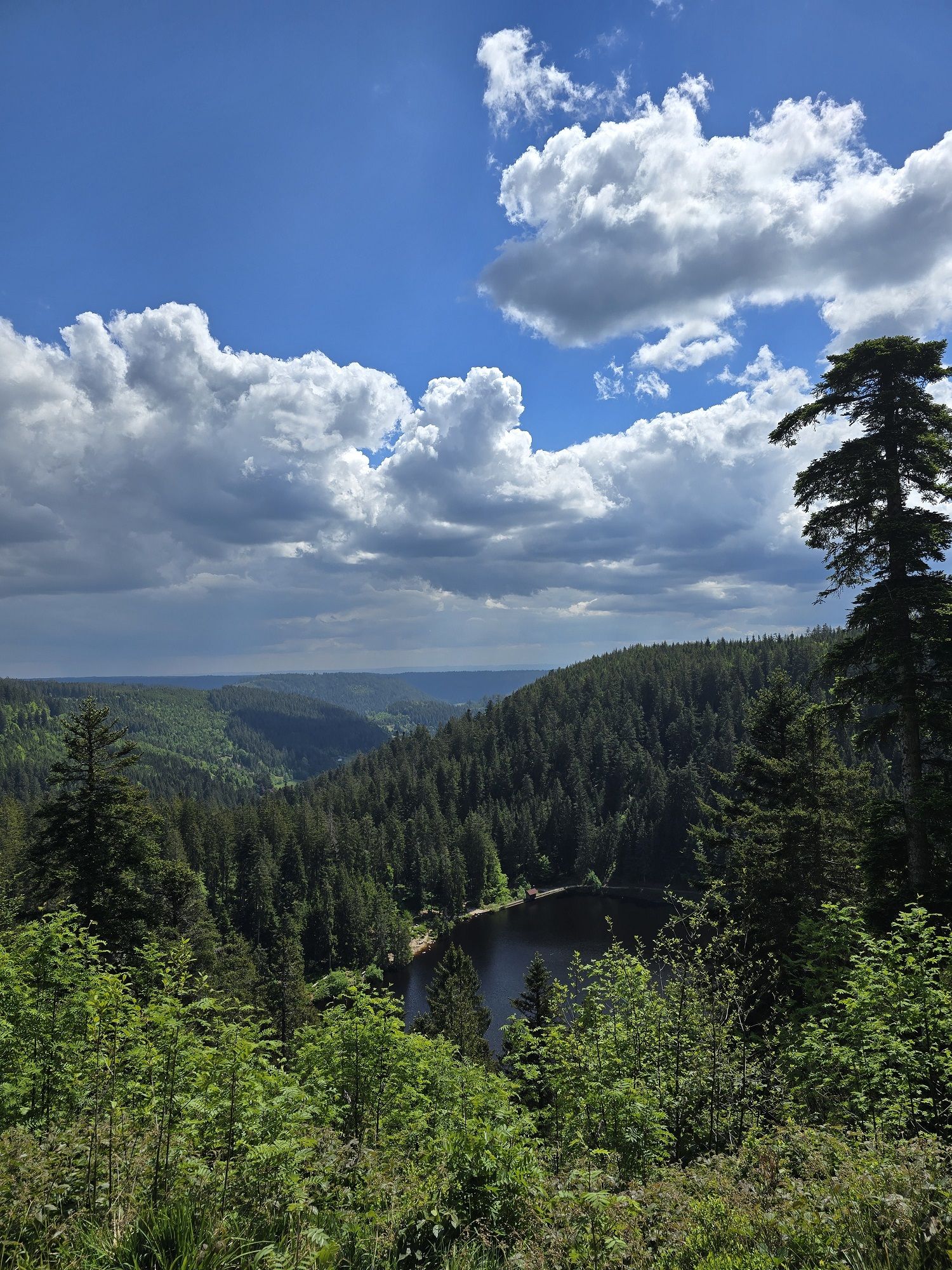 Ferienwohnung Schwarzwaldsteig