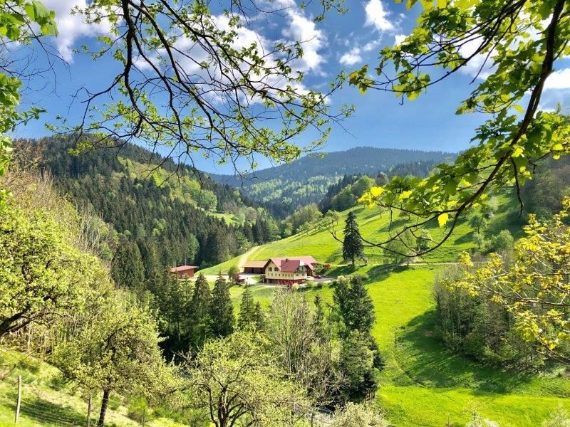 Ferienwohnungen Bierpeterhof