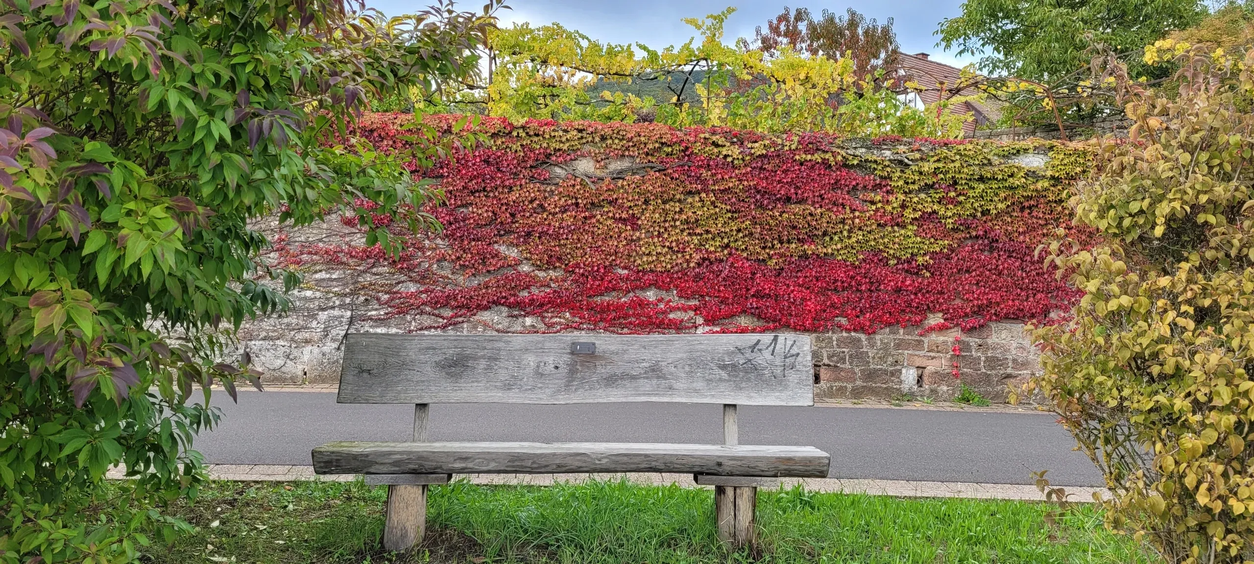 Ferienwohnung an der Weinstraße Gleisweiler