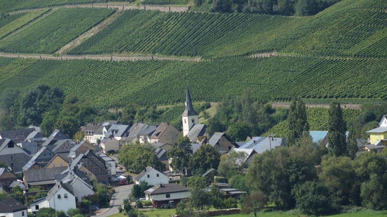 Ferienhaus Altes Winzerhaus Am Frohnbach am Weingut Gorges-Müller