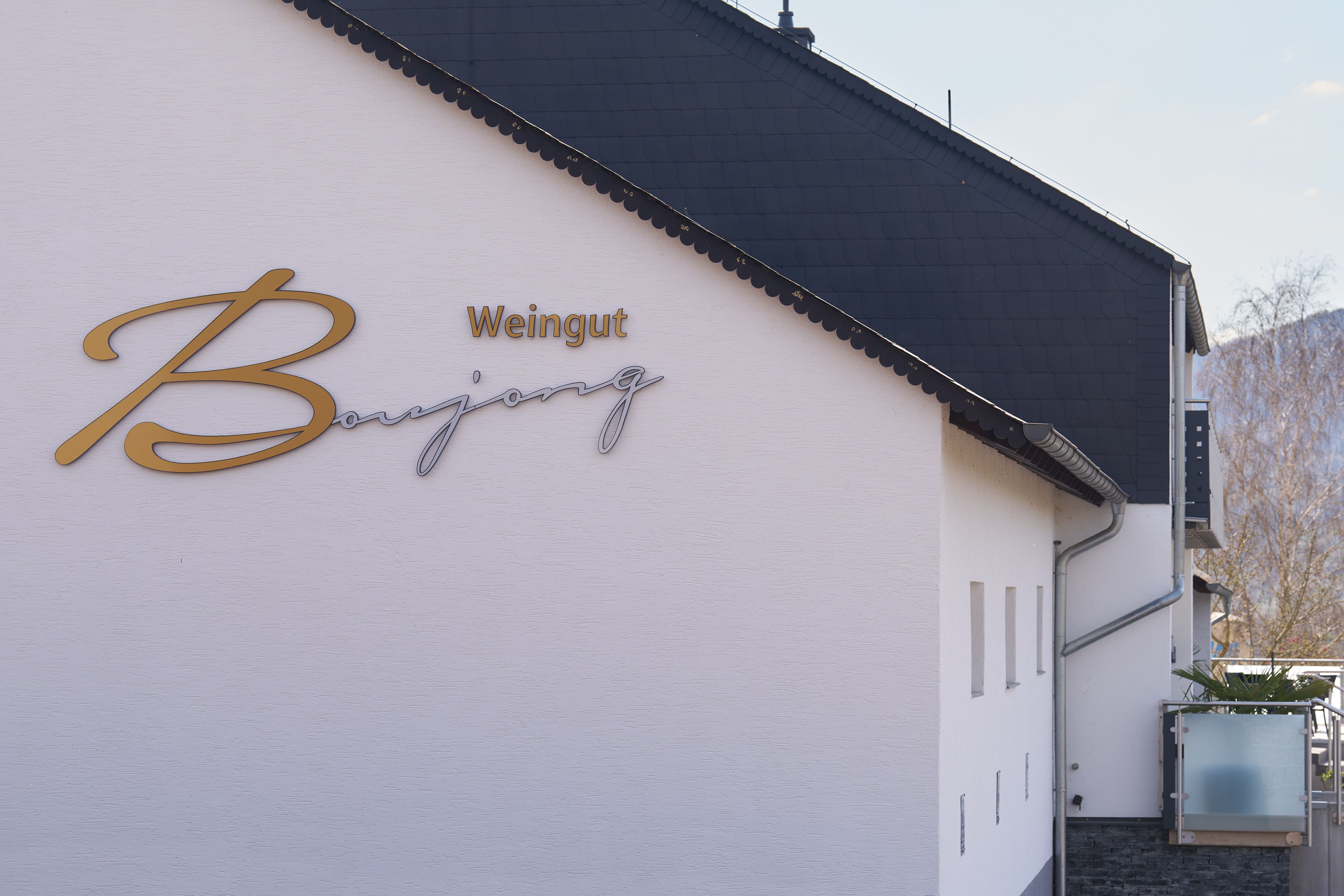 Ferienweingut Boujong & Pension Moselblick