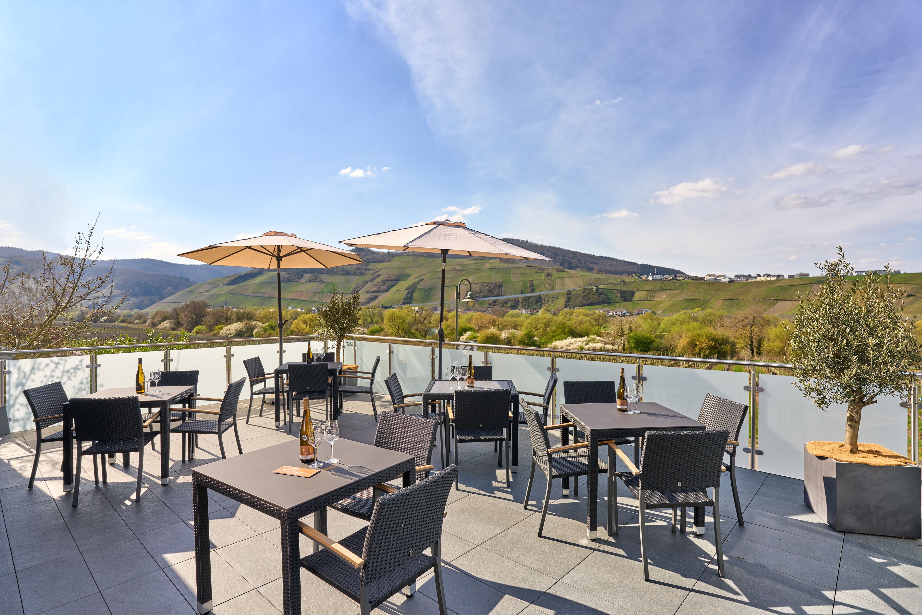 Ferienweingut Boujong & Pension Moselblick