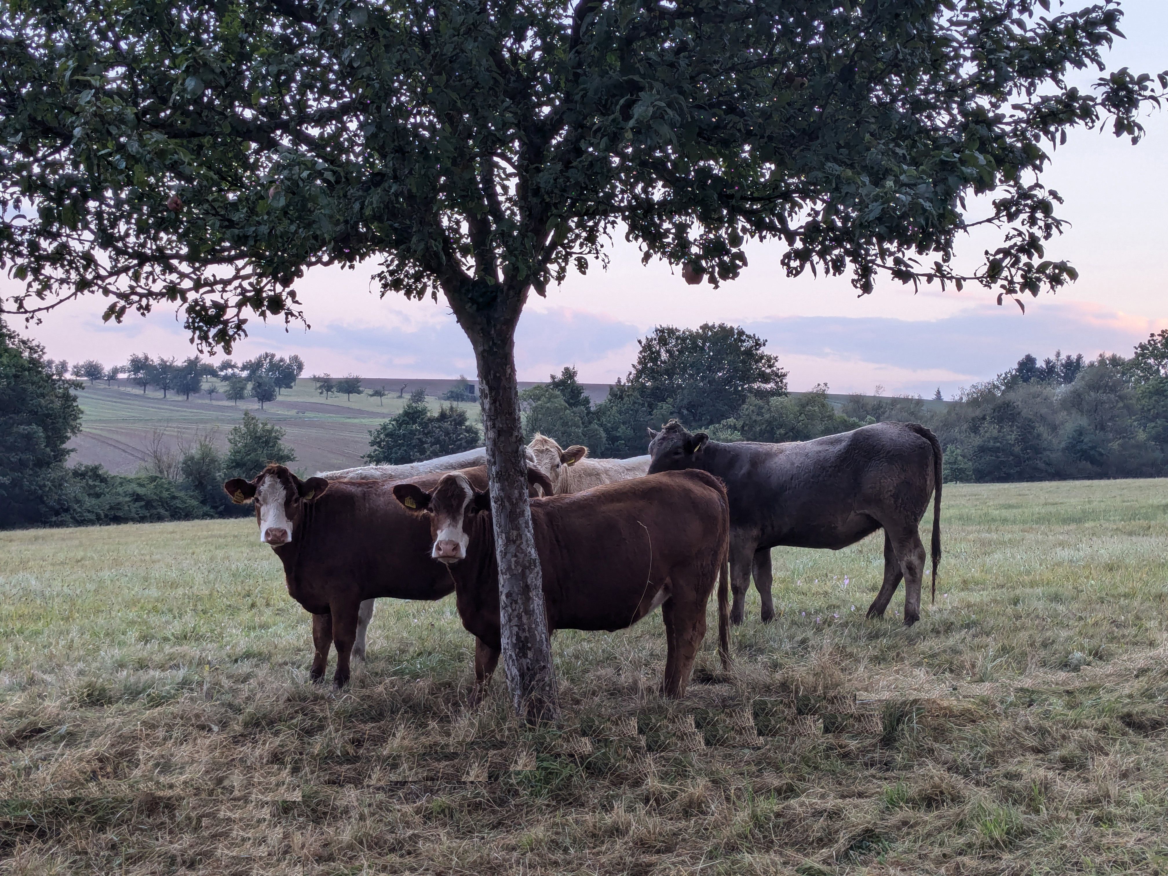 Landhaus SoonZauber - Charmantes Ferienhaus mit moderner Ausstattung