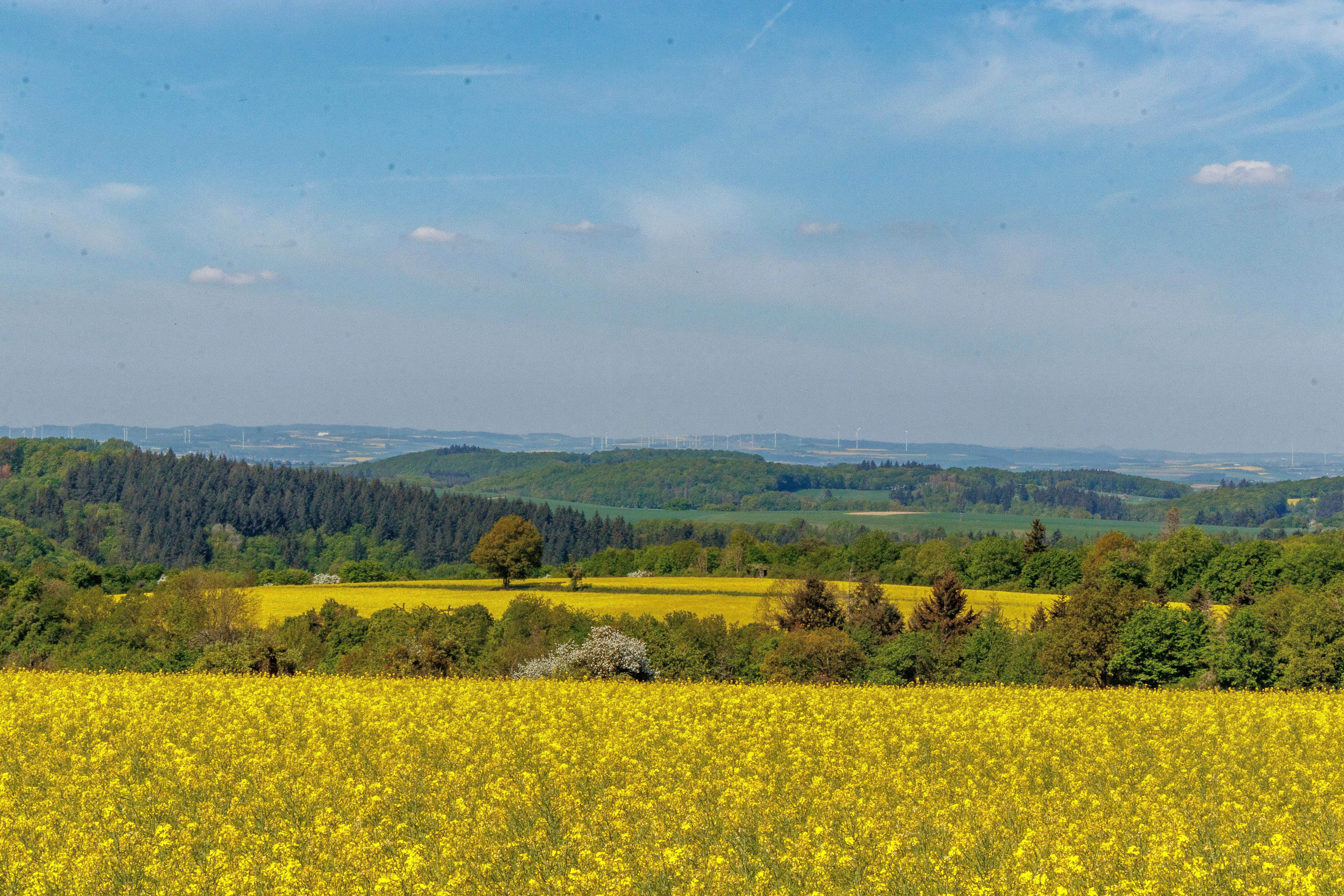 Landhaus SoonZauber - Charmantes Ferienhaus mit moderner Ausstattung