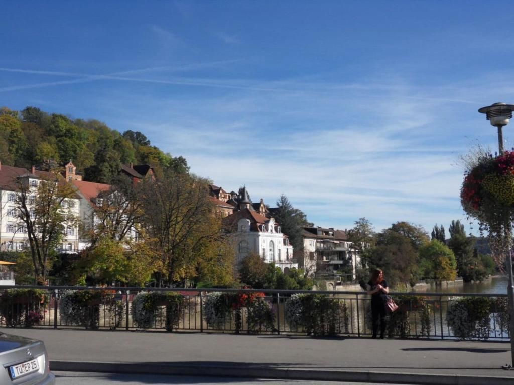 Ferienwohnung Epple in Tübingen am Neckar