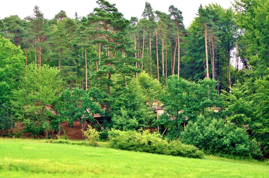 Baumpalast Baumhaushotel Rosenberg