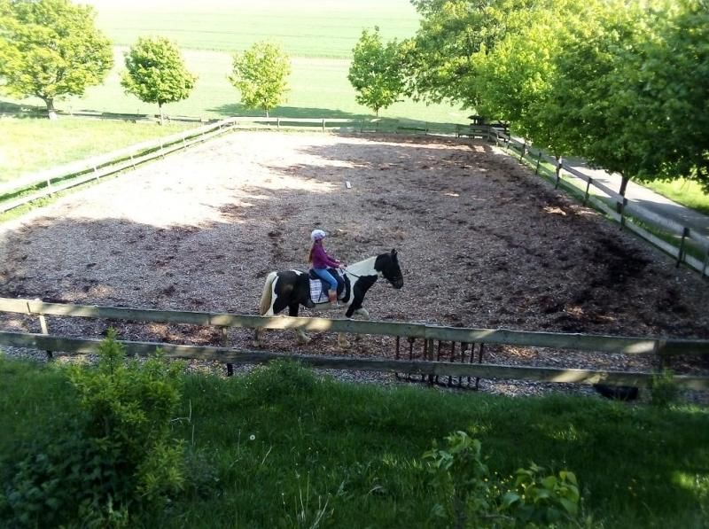 Steinäckerhof - Familienfreundlicher Bauernhof im Hunsrück