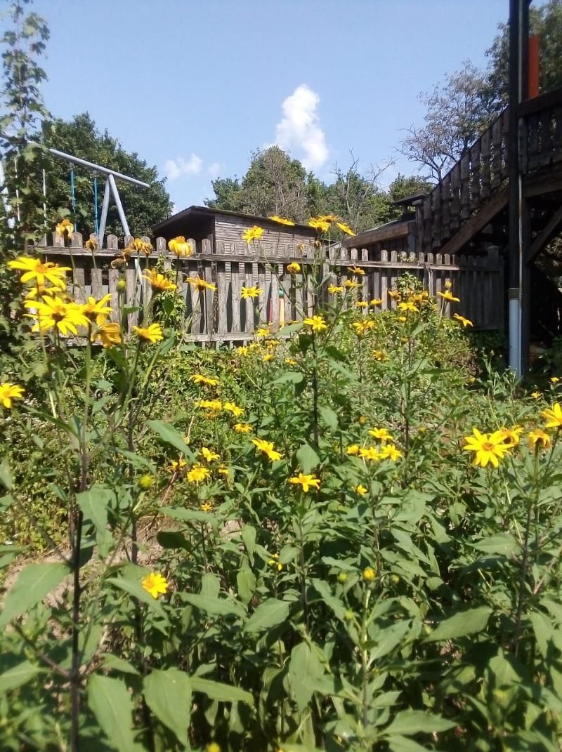 Steinäckerhof - Familienfreundlicher Bauernhof im Hunsrück