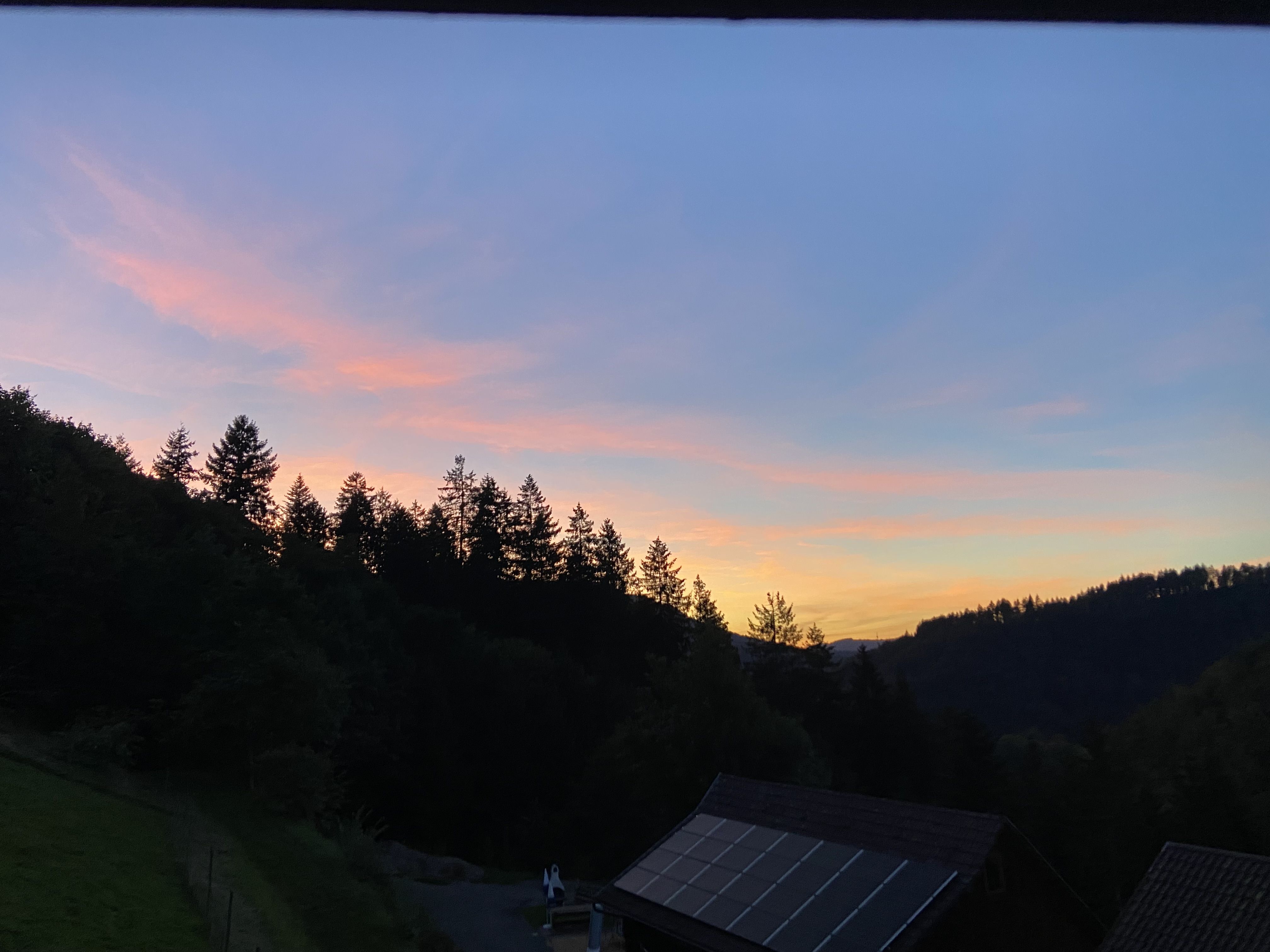 Ferienhof Brutoni Ferienwohnung Schwarzwaldtraum 