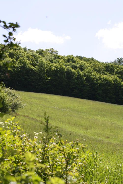 Hotel & Restaurant Reckweilerhof