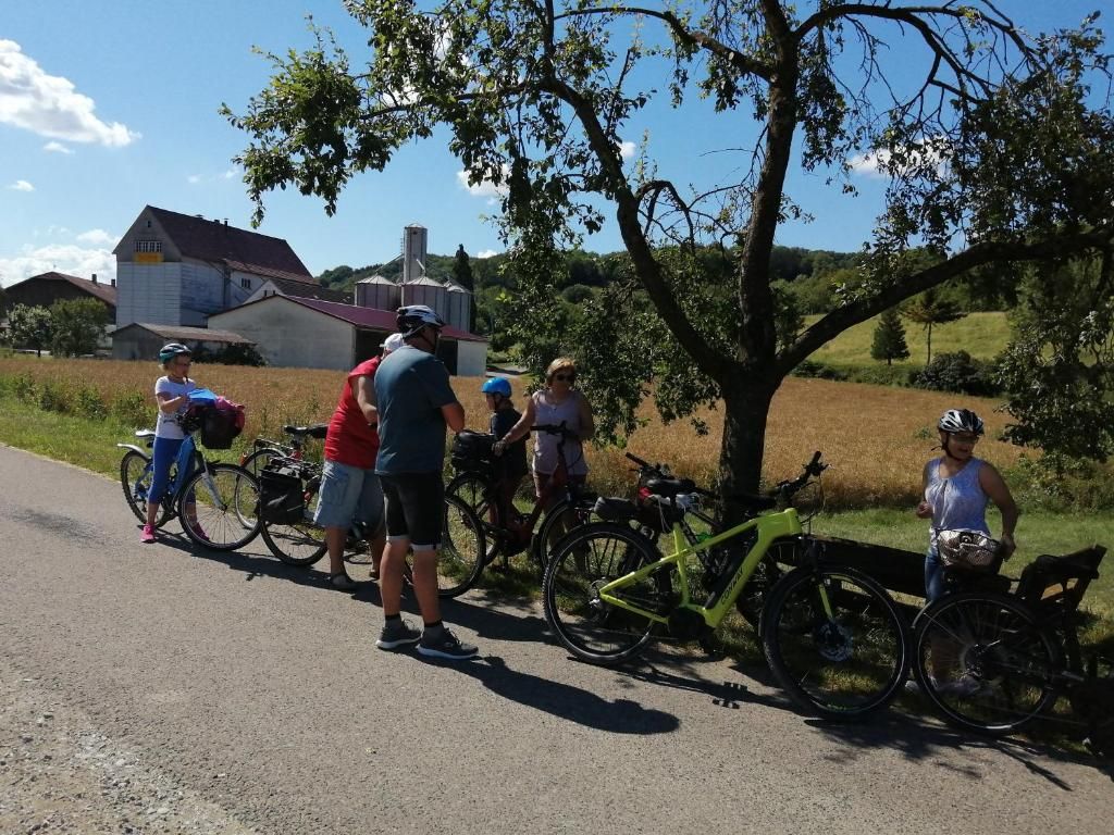 Ferienwohnungen Waldmann