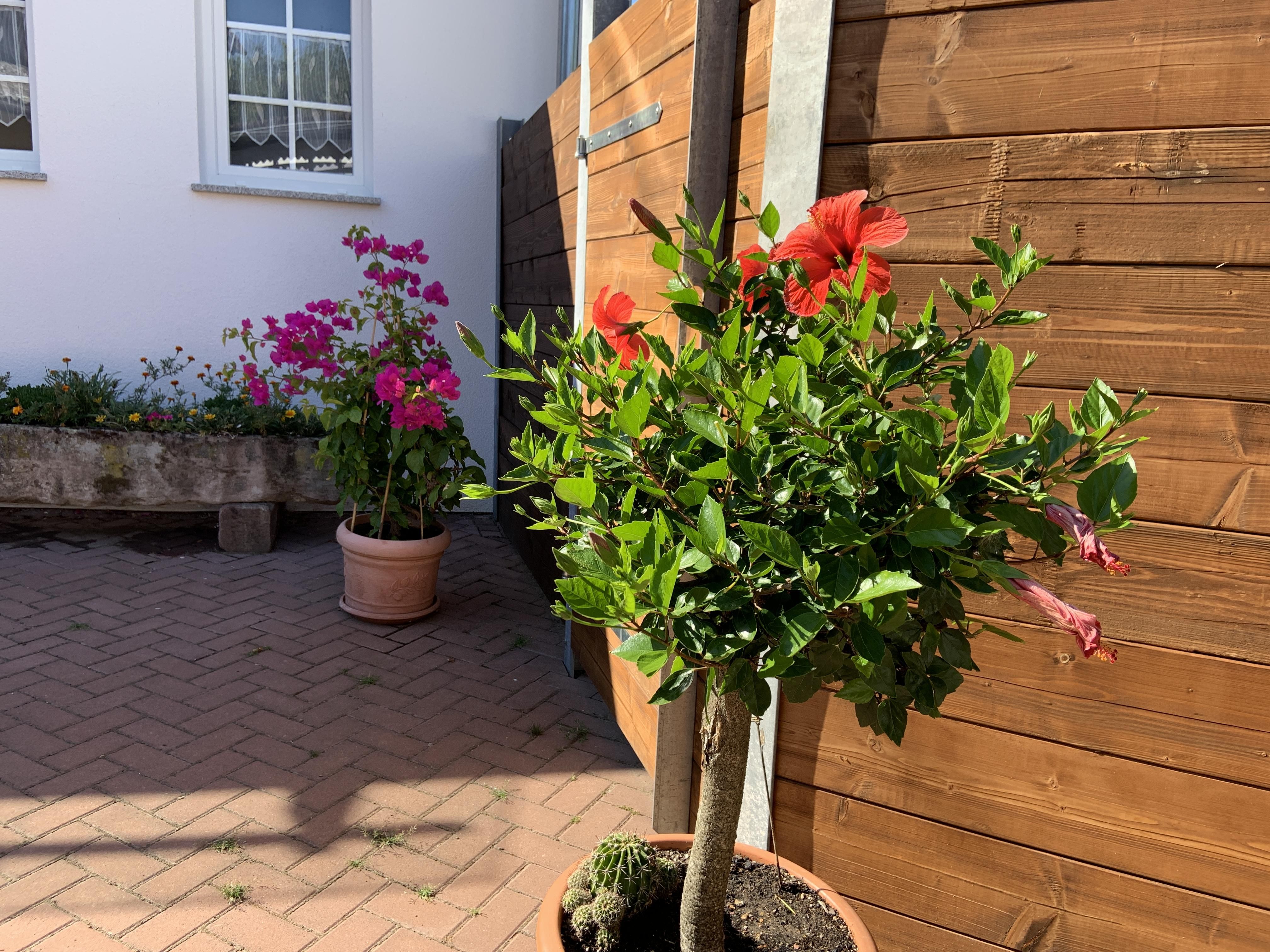 Ferienhaus am Häferbach